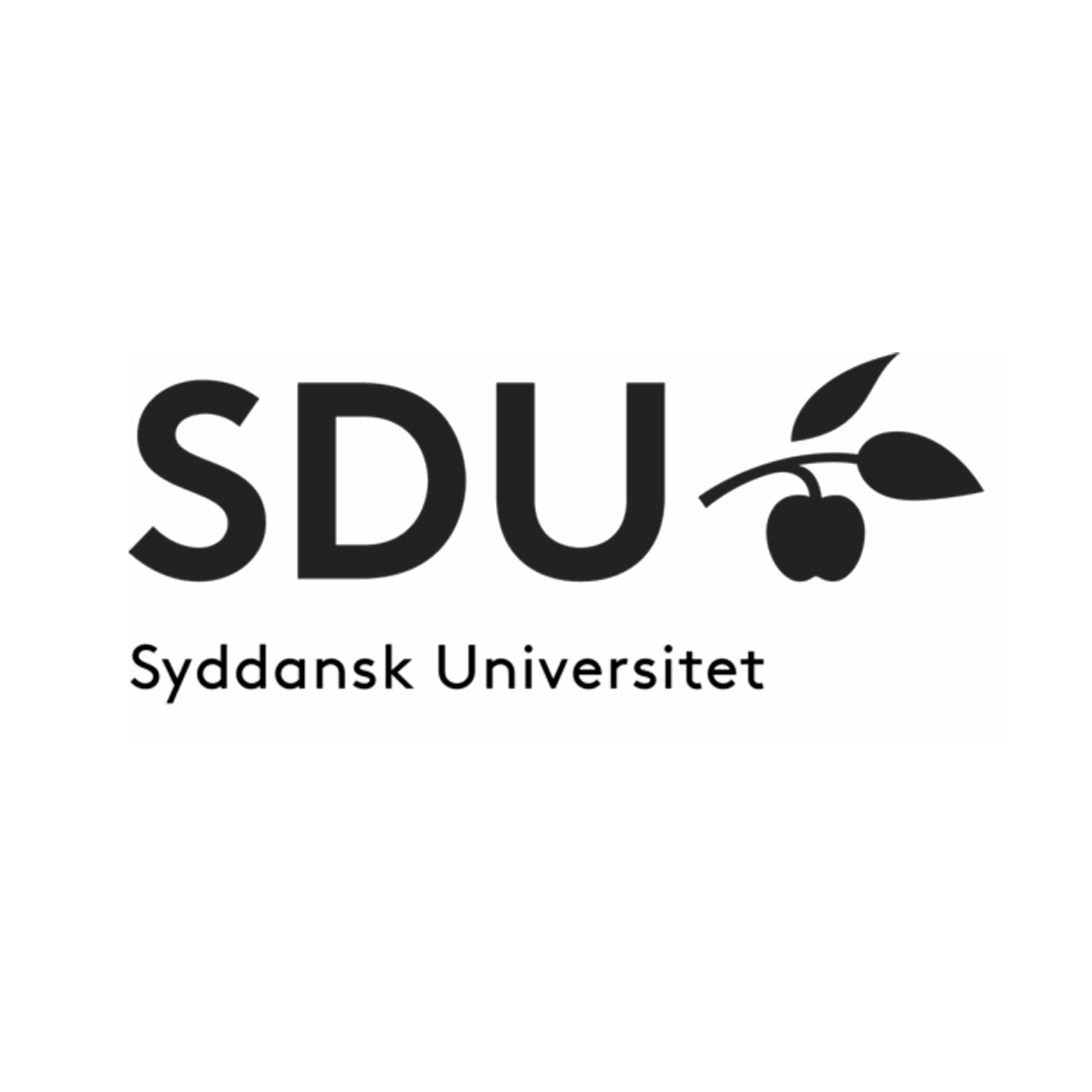 Sdu_logo